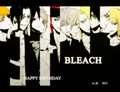 bleach - bleach-anime photo