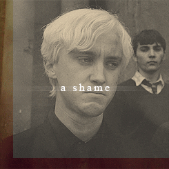  draco and hermione