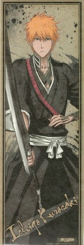  ichigo kurosaki