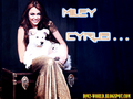 miley-cyrus - mILEY bY DaVe~!!!  wallpaper