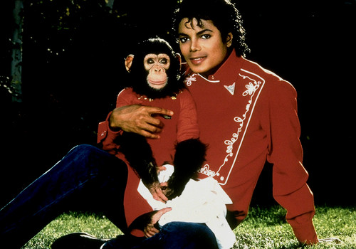  michael and his 动物