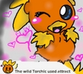 torchic used attract XD - pokemon fan art
