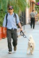 Bradley Cooper Walks His Dog - bradley-cooper photo