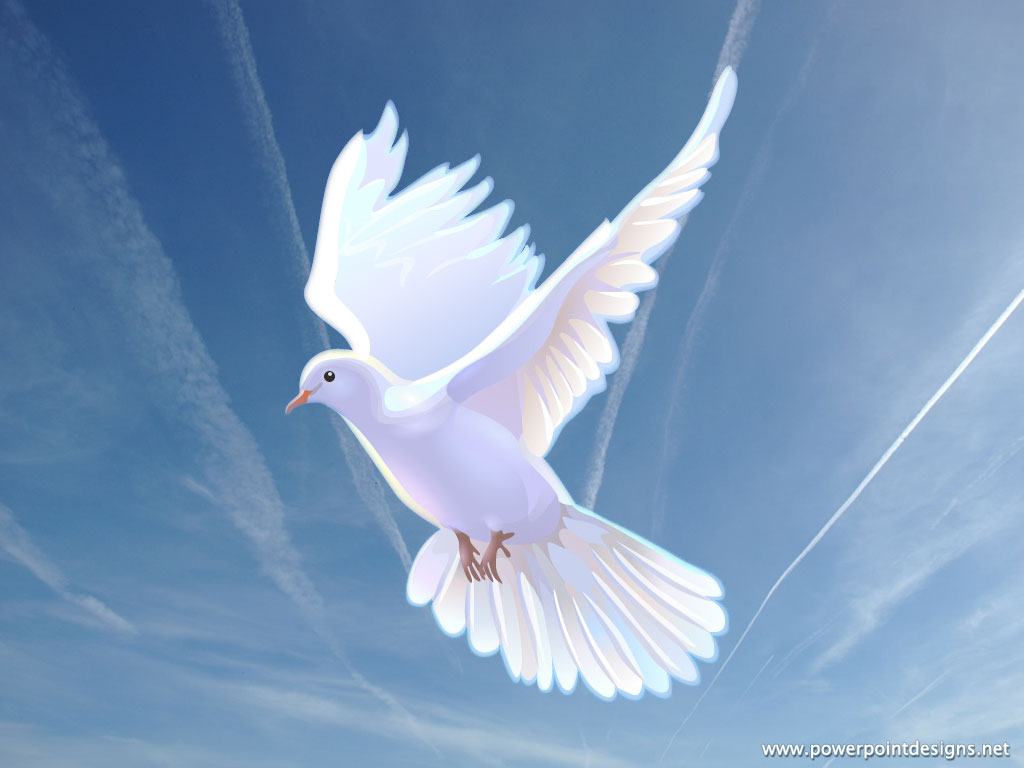 free christian clip art dove - photo #32