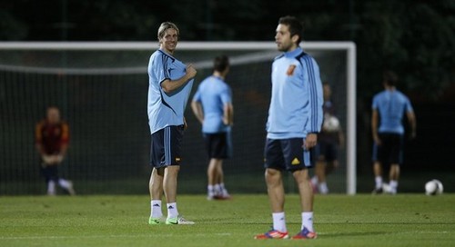  EURO 2012: Training Session