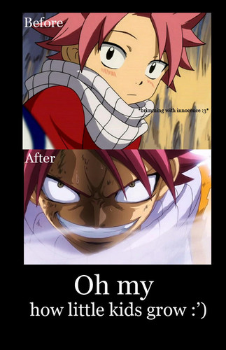 Fairy Tail Demootivational Posters