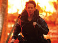 Girl On Fire - the-hunger-games photo