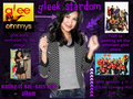 Glee magazine cover - glee photo