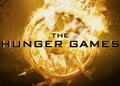 Hunger Games ! - the-hunger-games photo