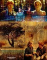 Just Another Fan Girl ♛ - harry-potter photo