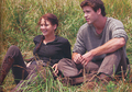 Katniss and Gale <3  - movie-couples photo