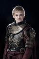 King Joffrey - house-lannister photo