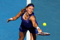Kvitova crotch - tennis photo