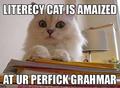 Literacy - lol-cats photo