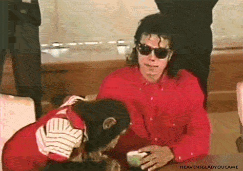  Michael Jackson does the sign language 'SIT" to his pet Bubbles Jackson :D