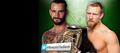 Money in the Bank:CM Punk vs Daniel Bryan - wwe photo