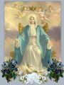 Mother Mary - blessed-virgin-mary photo