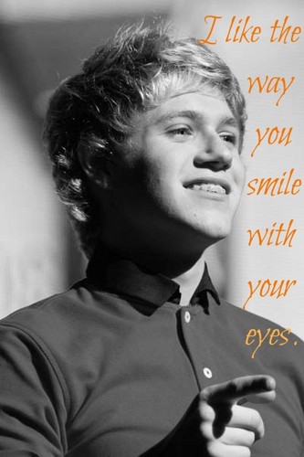 Niall: Everything About You