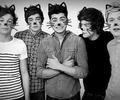 OnE direction <3 - one-direction photo
