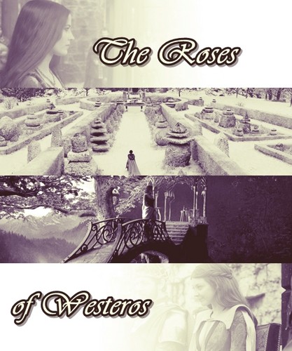 Roses of Westeros