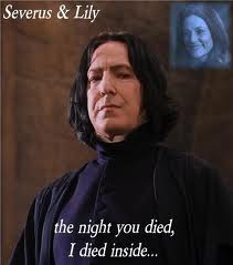  Snape and Lily
