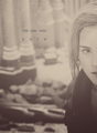 The Girl Who Knew - hermione-granger photo