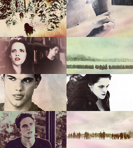  Twilight Saga♥