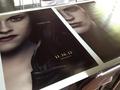 BD Posters - twilight-series photo