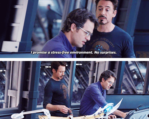  Bruce Banner & Tony Stark
