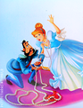 Cinderella's Wedding - disney-princess photo