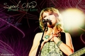 Covers I Made For Some of her Albums, and Songs. :) <13 - taylor-swift fan art
