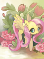 D'awwh - my-little-pony-friendship-is-magic photo