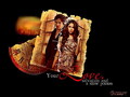the-vampire-diaries - Damon & Elena wallpaper