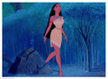 Disney Princess Wardrobes: Pocahontas - disney-princess photo