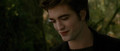 Edward's flawless profile smile2 - twilight-series photo