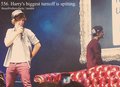 Facts♥ - one-direction photo