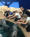 Harry + Dolphins!!! - harry-styles photo