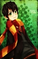 Harry Potter - harry-potter-anime photo