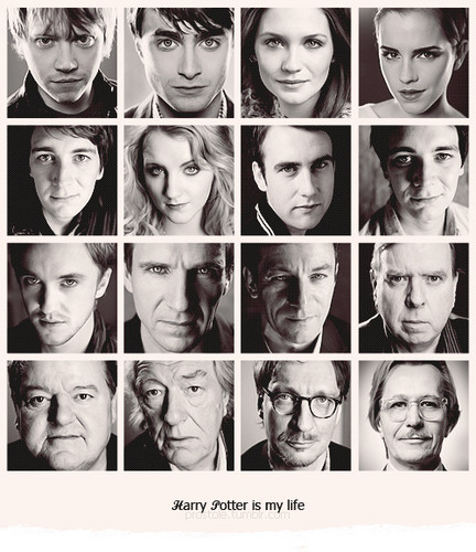  Harry Potter is my life