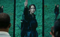 Katniss 3 finger salute - the-hunger-games photo