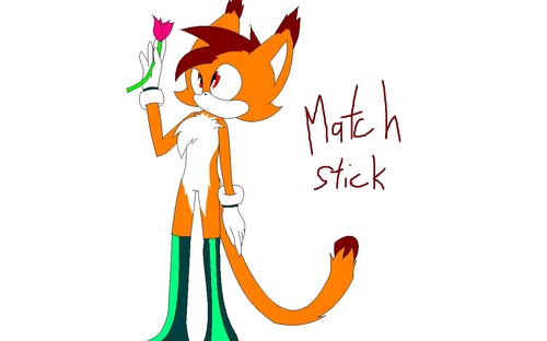  Match Stick the Cat *HERPDERP*
