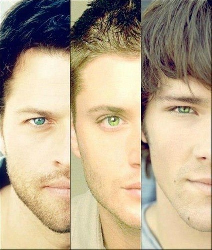 Misha, Jensen, Jared