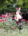 Modeling for a Miss Dior campaign photo shoot in the gardens of the Palais-Royal in Paris (June 26th - natalie-portman photo