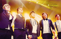 One Direction - zayn-malik fan art