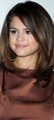 Selena Gomez  - selena-gomez fan art