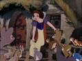 Snow White and the Seven Dwarfs Screencaps - snow-white-and-the-seven-dwarfs photo