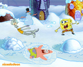 spongebob-squarepants - Spongebob Squarepants  wallpaper