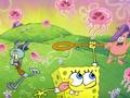 Spongebob Squarepants  - spongebob-squarepants wallpaper