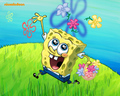 spongebob-squarepants - Spongebob  wallpaper
