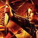 THG - the-hunger-games icon